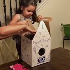 FUNNY VIDEO - SWEET BABY GIRL REACTION TOWARDS TOY SO SWEET .MP4