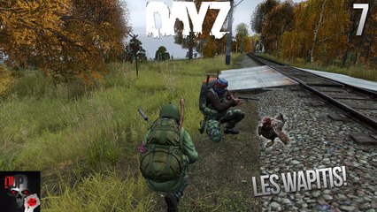 Les Wapitis! - [FR] DayZ [HD] #7
