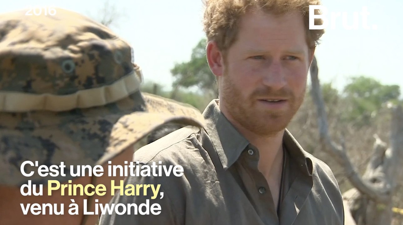 Au Malawi, les rangers s'organisent contre le braconnage avec les soldats britanniques