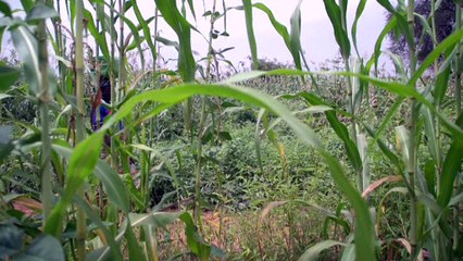 Eau, assainissement et hygiène: des gestes qui sauvent! (2/2)