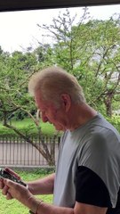 Body Postural Care for the Digital Age - Interview with Chiropractor Dr. Alain Corps