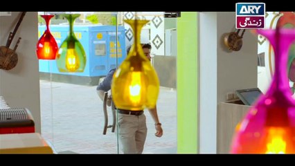 Rasm-e-Duniya Episode 19 - on ARY Zindagi in High Quality 7th November 2017