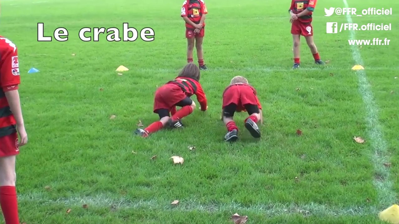 M8 - Les crabes