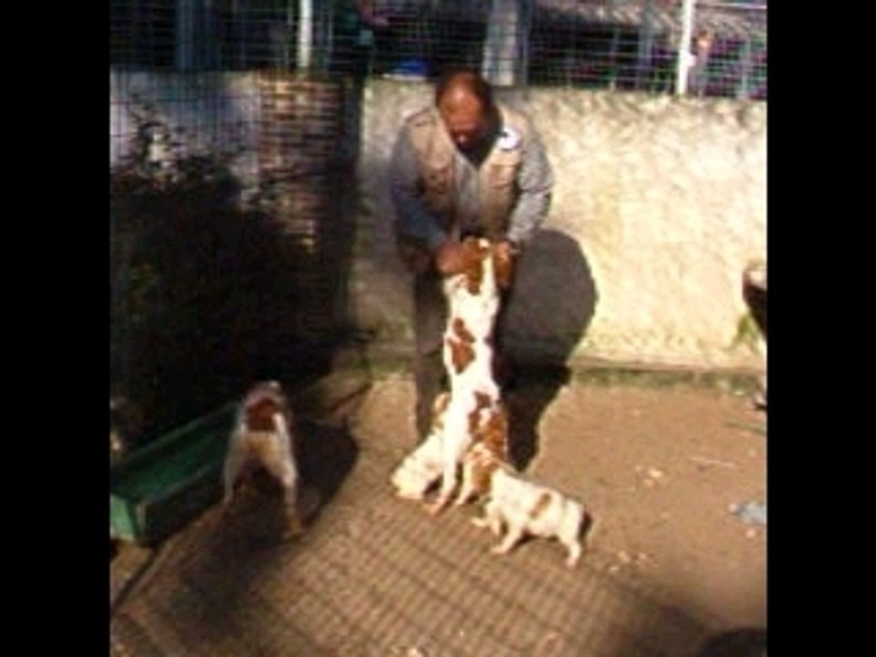 Petits calins avec l'éleveur