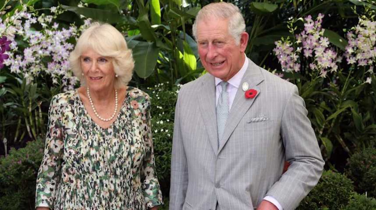 Bernard Arnault, Shakira, Reine d'Angleterre... : qui est cité dans les "Paradise Papers" ?