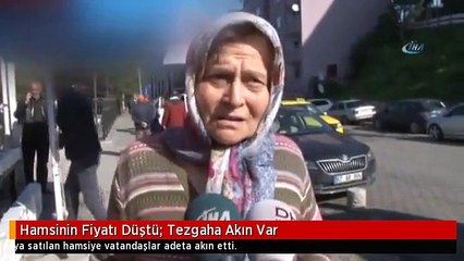 Hamsinin Fiyatı Düştü: Tezgaha Akın Var
