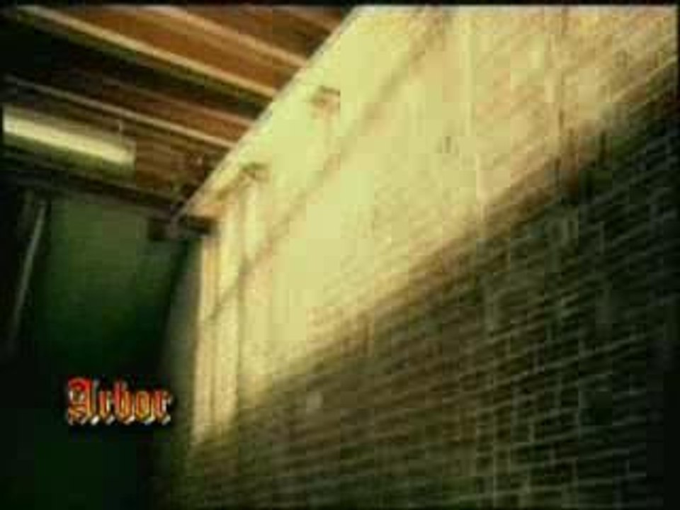 Slipknot - Vermilion