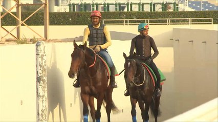 هذا الصباح- الصعوبات والمهارات في سباقات الخيل