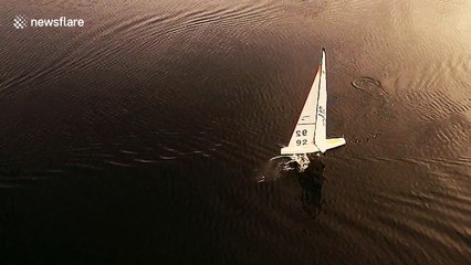 Fish jumps over yacht and hits sail, but it is what it really seems?
