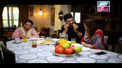 Mere Baba ki Ounchi Haveli - Episode 242 on Ary Zindagi in High Quality - 8th November 2017