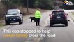 Cop Helps Bear Family Cross The Road by Native American News