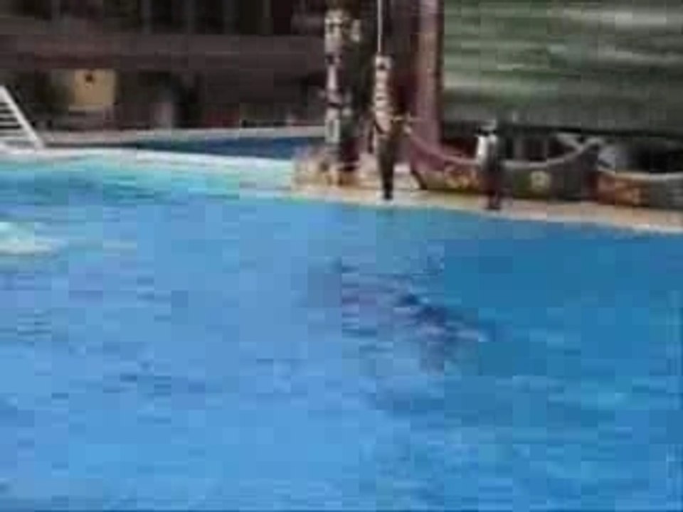 Mes cheris de californie