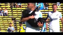 Animals on the Football Pitch ● Funny Moments
