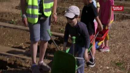 Manger c'est voter - Des enfants de maternelle cultivent leurs propres fruits et légumes - Côte d'Or