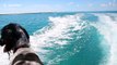 Dolphin follows speeding boat to be with canine friend