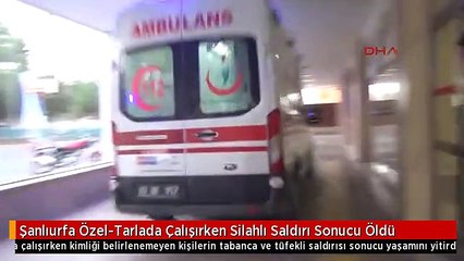 Şanlıurfa Özel-Tarlada Çalışırken Silahlı Saldırı Sonucu Öldü