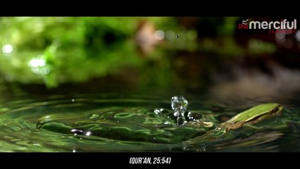 Created From Water - Signs From the Creator