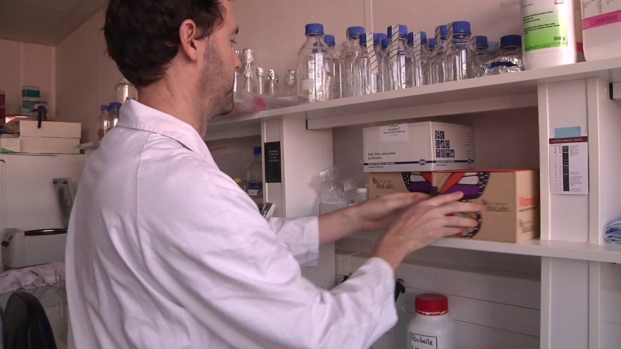 VIDEO - Le sucre révolutionnaire d'IGEM Évry ! - 2017-11-09