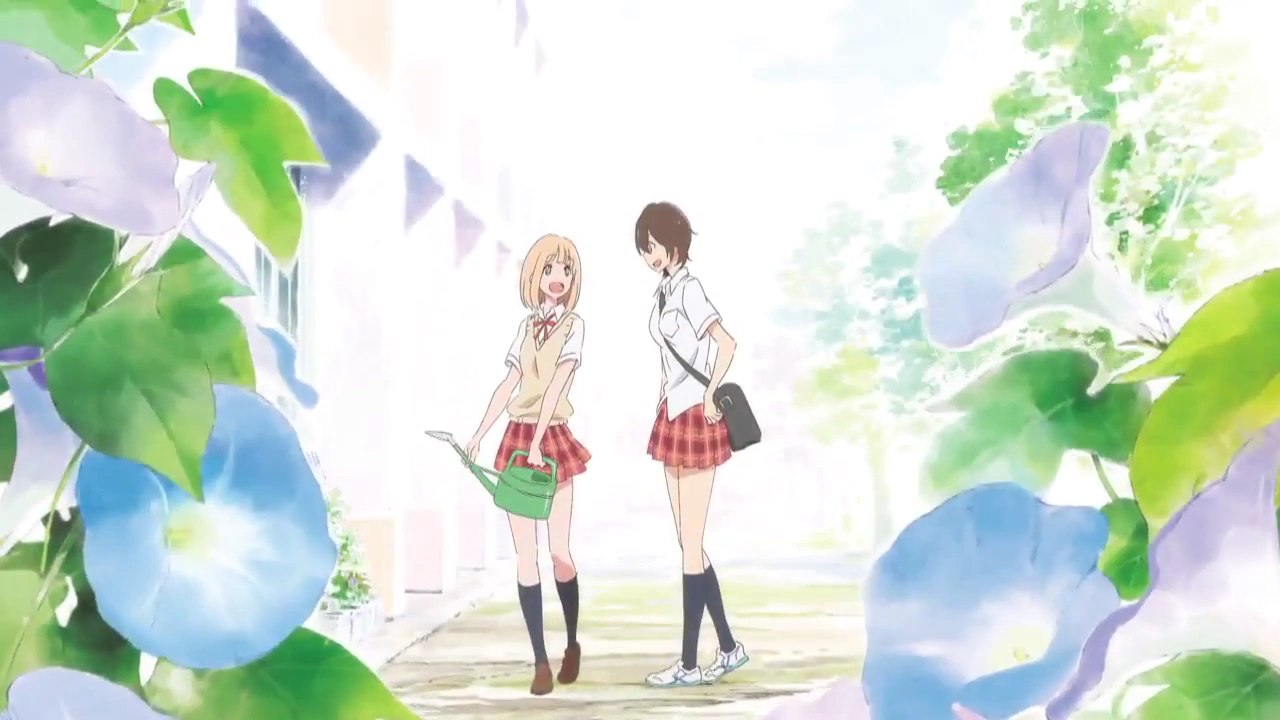 [Owlolf-fansub] Asagao et Kase-san vostfr [720p]