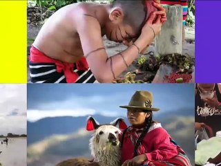 La yuca es patrimonio alimentario de los pueblos de la amazonía