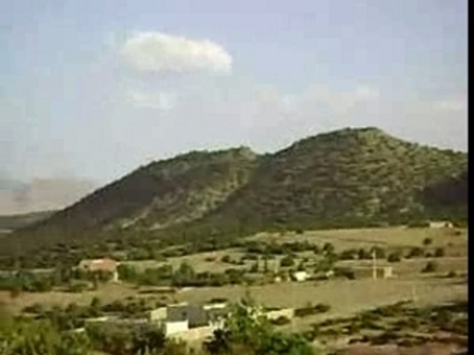 MOV01682