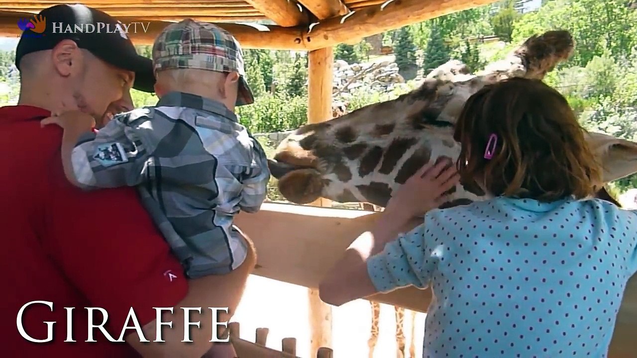 Animals learn for kids | Kids at the ZOO, BEST Educational video for Kids, Toddler, Children