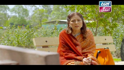 Rasm-e-Duniya Episode 20 - on ARY Zindagi in High Quality 8th November 2017