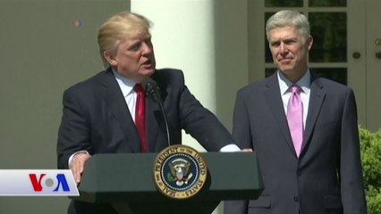 Başkan Trump'ın Birinci Yıl Karnesi