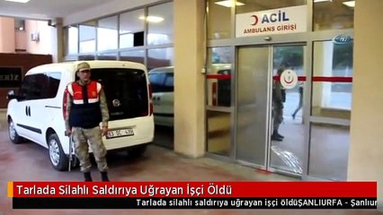 Tarlada Silahlı Saldırıya Uğrayan İşçi Öldü