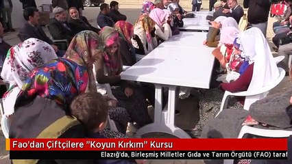 Fao'dan Çiftçilere "Koyun Kırkım" Kursu