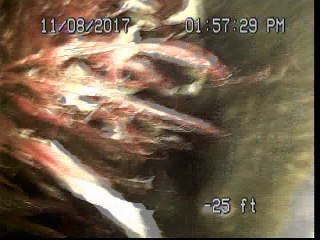 8027 Hollywood Blvd., Hollywood