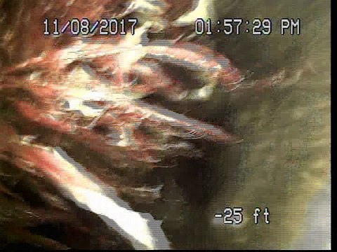 8027 Hollywood Blvd., Hollywood