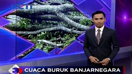 Download Video: Pohon Beringin Raksasa Tumbang, 1 Orang Tewas