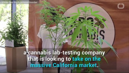 Snoop Dogg's Venture Capital Firm Leads The Charge On Cannabis Testing