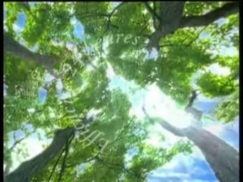 bien-être de l'Oréal