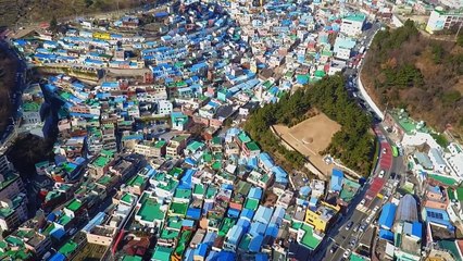 LE POISSON-PÉNIS D'ASIE !