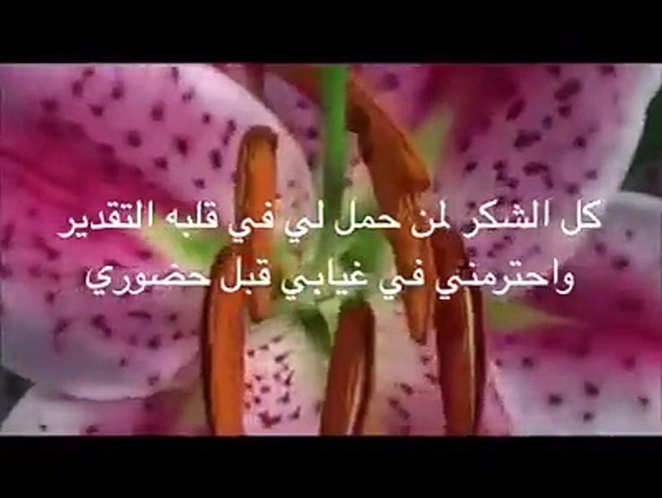 قل شكراً