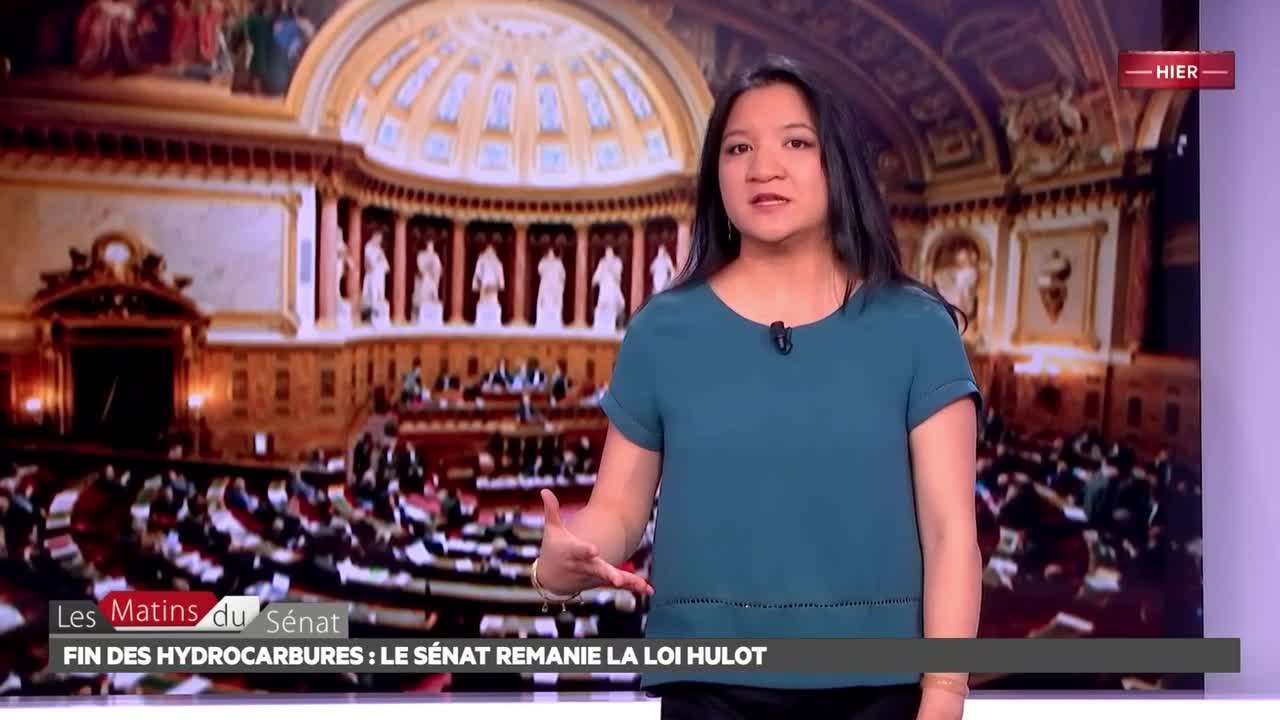 Temps du projet de loi Hydrocarbures - Les matins du Sénat (09/11/2017)