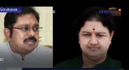சசிகலாவின் உறவினர்கள், ஆதரவாளர்கள் வீட்டில் வருமான வரி ரெய்டு-வீடியோ
