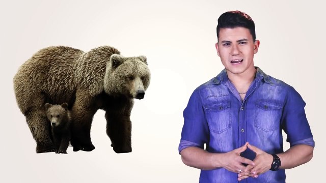 8 piores formas de morrer (explicadas pela ciência)