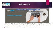 Get Complete Information for Account Profiling & E-mail marketing Services | Saleglue