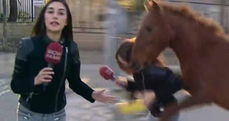 Show TV Muhabirine At Saldırması Sosyal Medyada Olay Oldu