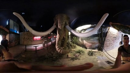 360° VR VIDEO - Jurassic World Museum Dinosaurs Experience- Jurassic Park _ VIRTUAL REALITY-lURb1nlvQt4