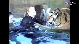 A Look Back - Megan Alexander Swims With Tigers-3Gfm67yQgeo