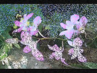 Andre Hehanusa Kau Bukan Untukku