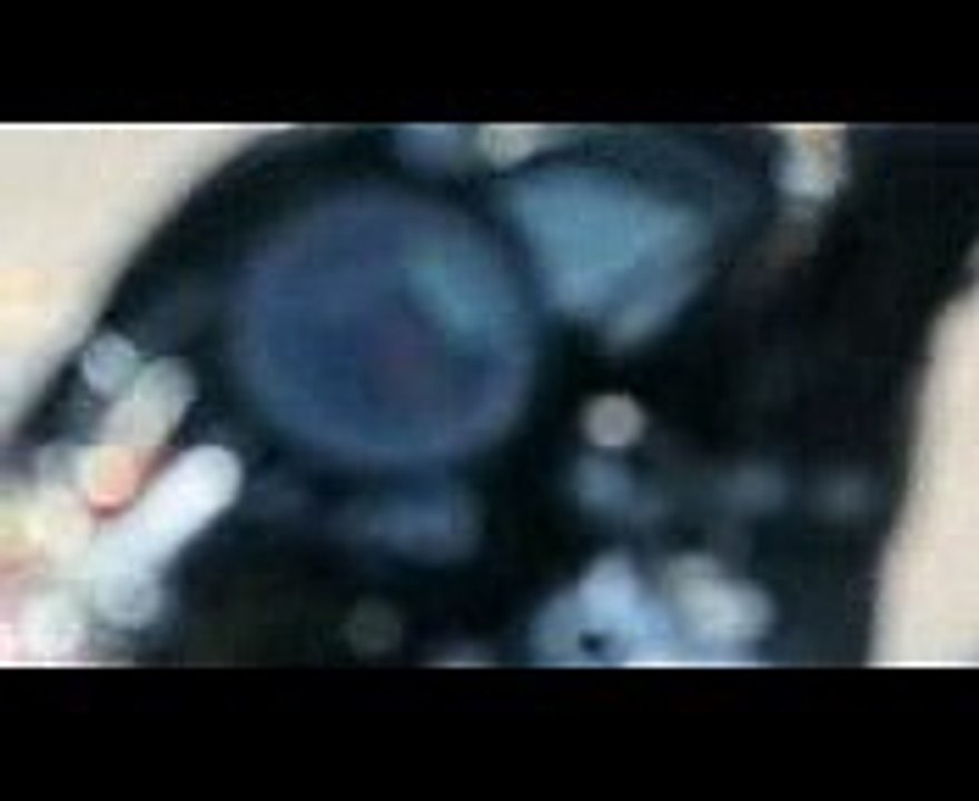 DRAG RACE  PULSAR NS 160 VS HORNET 160R  RACE  AYUSH VLOGS