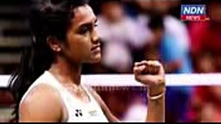 pv sindhu indigo airlines issue ndn special - NDN News
