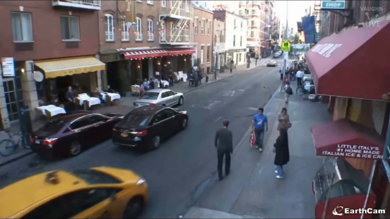 Cookie LIVE from Mulberry Street Cam