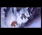 Brother Bear Mountain Top Fight
