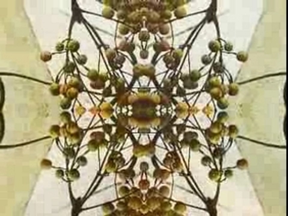 The Lookats - Sehnsucht